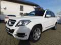 Mercedes-Benz GLK 220 GLK 220 CDI BE+Sport+Chrom-Paket+aktiver Park-Assi Blanc - thumbnail 2