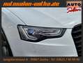 Audi A5 Sportback 1.8TFSI S line Sport XENON+5Sitze Blanc - thumbnail 21