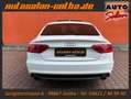 Audi A5 Sportback 1.8TFSI S line Sport XENON+5Sitze Weiß - thumbnail 5