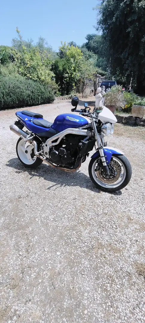 Triumph Speed Triple 955i Blu/Azzurro - 1