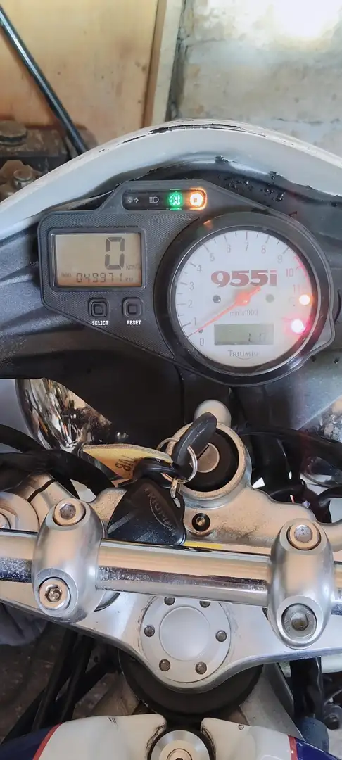 Triumph Speed Triple 955i Blu/Azzurro - 2