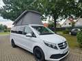 Mercedes-Benz V 250 Marco Polo-Küche-Dachzelt neu-1 Hd. Bianco - thumbnail 4