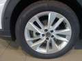 Volkswagen Taigo Friends TSI Weiß - thumbnail 18