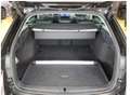 Skoda Octavia Selection 1.5 TSI mHEV * RFK AHK SHZ * - thumbnail 6