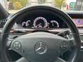 Mercedes-Benz S 350 S -Klasse Lim. S 350 BlueTec Plateado - thumbnail 11