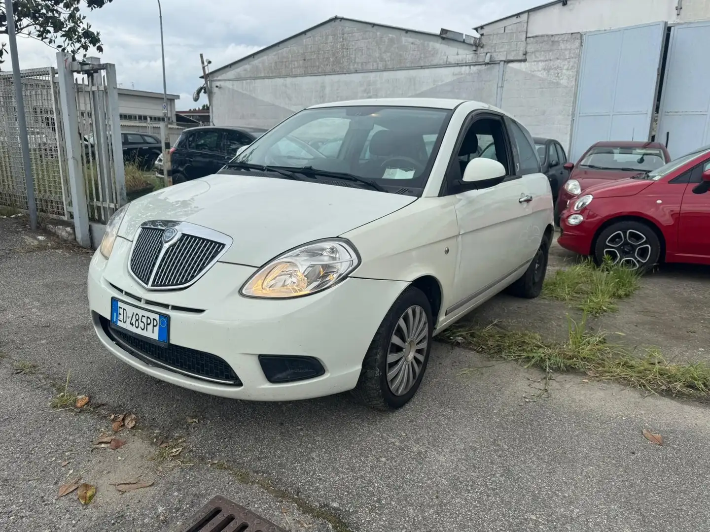 Lancia Ypsilon ELEFANTINO 1.2 ORO Alb - 1