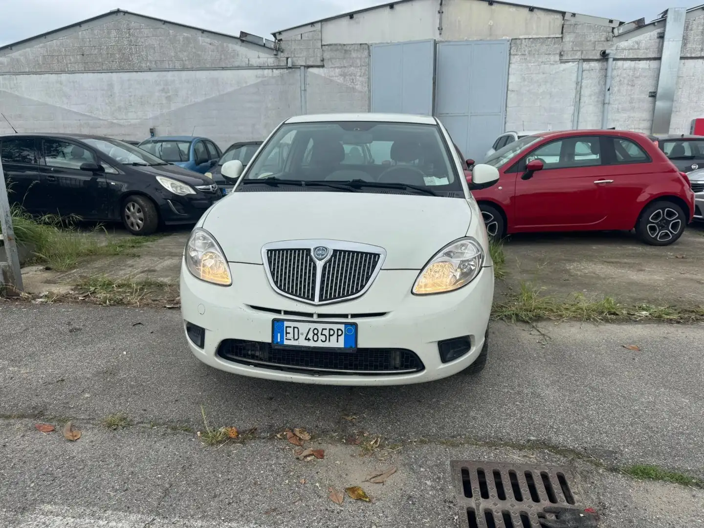Lancia Ypsilon ELEFANTINO 1.2 ORO Alb - 2