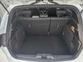 Ford Focus 1,0 EcoBoost ST-Line - thumbnail 19