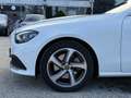 Mercedes-Benz E 220 d 4MATIC Aut. Avantgarde MEGA Ausstattung!! Weiß - thumbnail 10