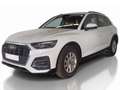 Audi Q5 40 TDI quattro Weiß - thumbnail 3