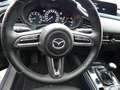 Mazda CX-30 2.0 SKYACTIV-G M Hybrid Selection, Bose, Design-P, Grau - thumbnail 14