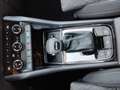 Skoda Karoq Selection TDI DSG Grau - thumbnail 17