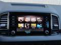 Skoda Karoq Selection TDI DSG Grau - thumbnail 14