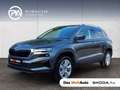 Skoda Karoq Selection TDI DSG Grau - thumbnail 1