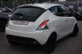 Lancia Ypsilon 1.0 FireFly 5 p. S&S Hybrid silver **SOLO 7000KM** Bianco - thumbnail 3