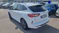 Ford Kuga 1.5 ecoblue st-line 2wd 120cv Bianco - thumbnail 3