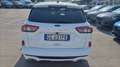 Ford Kuga 1.5 ecoblue st-line 2wd 120cv Bianco - thumbnail 4