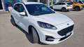 Ford Kuga 1.5 ecoblue st-line 2wd 120cv Bianco - thumbnail 5
