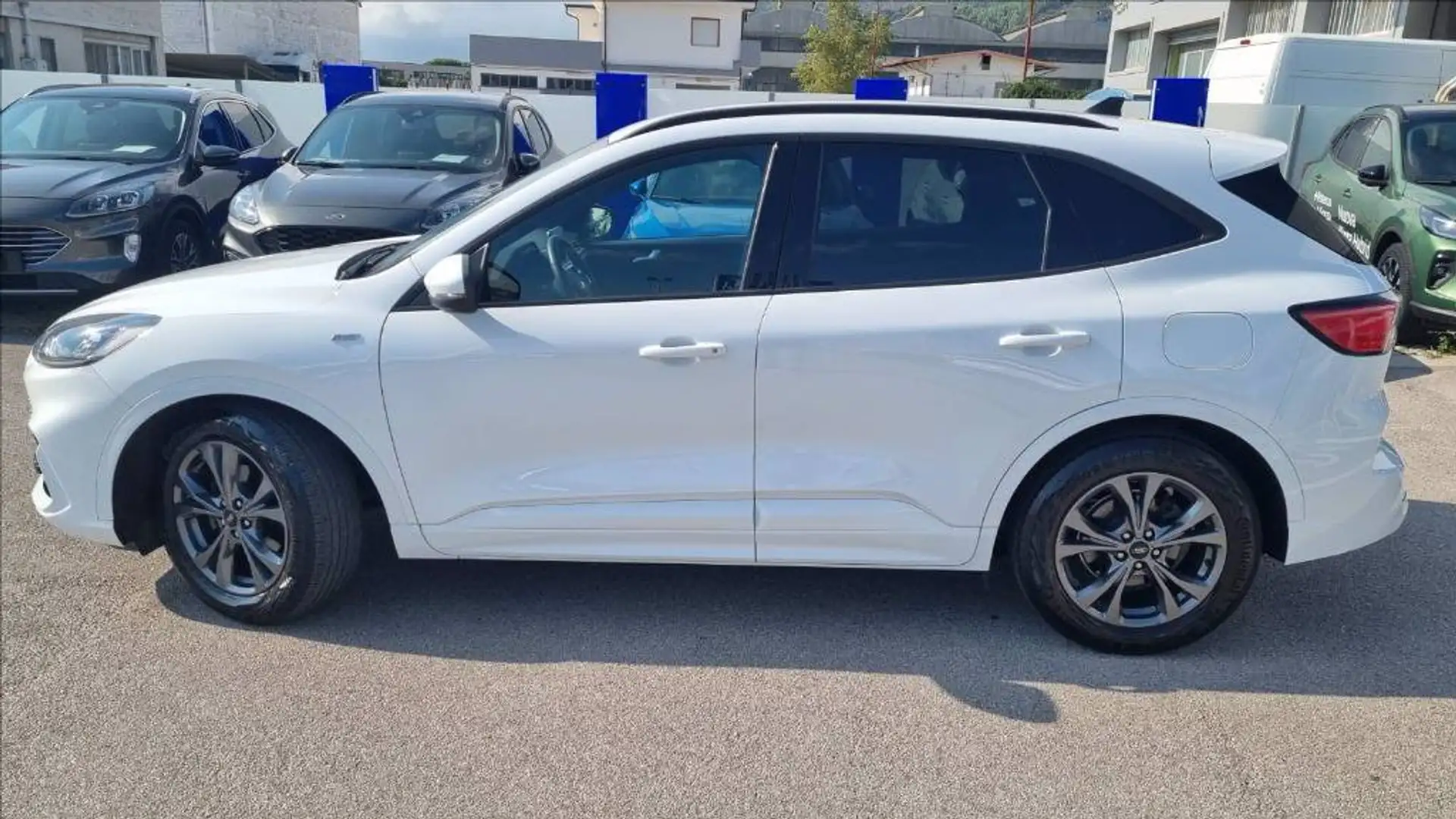 Ford Kuga 1.5 ecoblue st-line 2wd 120cv Bianco - 2