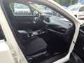 Nissan Qashqai 1.3 MHEV 158 Xtronic ACENTA *LHZ*CAM*SHZ Weiß - thumbnail 11