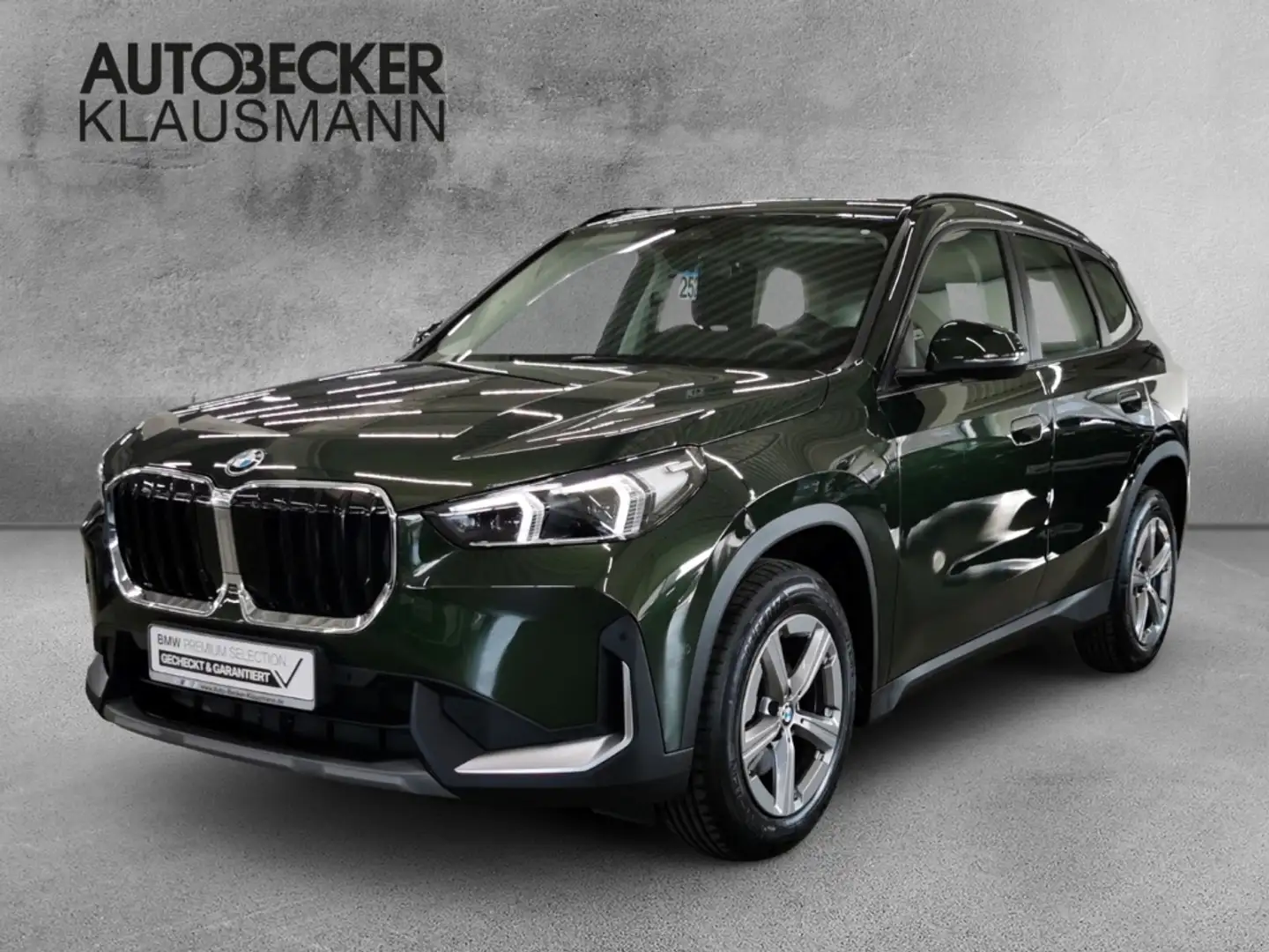 BMW X1 xDrive 20d AUTOMATIK WIDESCREEN NAVI LED AHK SPORT Vert - 1