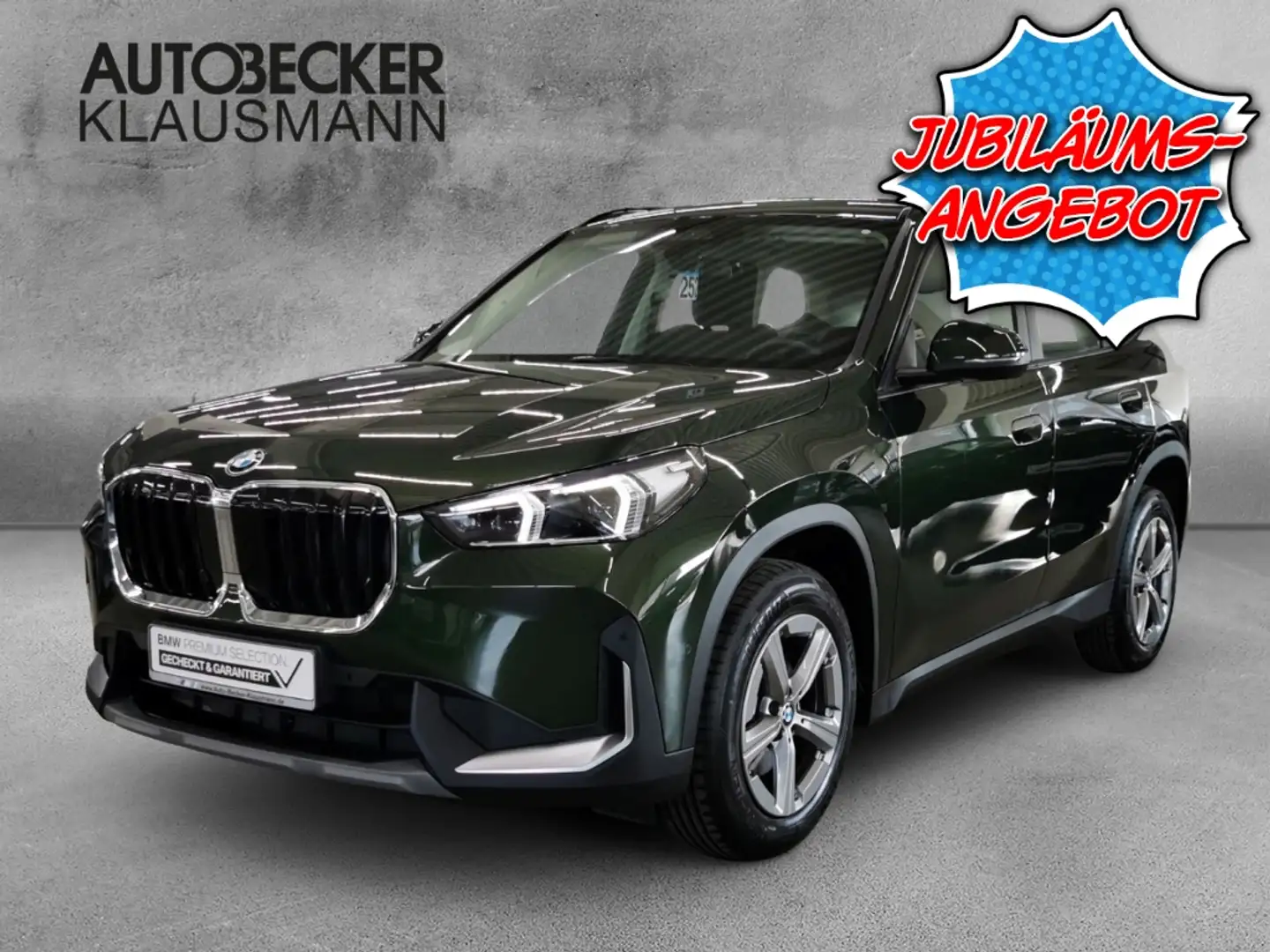BMW X1 xDrive 20d AUTOMATIK WIDESCREEN NAVI LED AHK SPORT Grün - 1