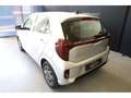 Kia Picanto Pulse Argent - thumbnail 7
