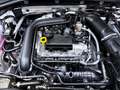 Volkswagen T-Roc 1.0 TSI GOAL NAVI KLIMA PDC SHZG LED Weiß - thumbnail 17