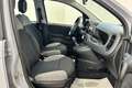 Fiat Panda 1.0 FireFly S&S Hybrid Grigio - thumbnail 8