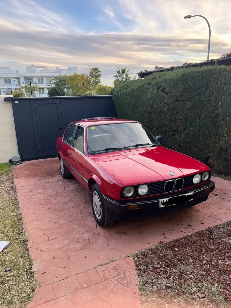 BMW 316 Rojo - 2