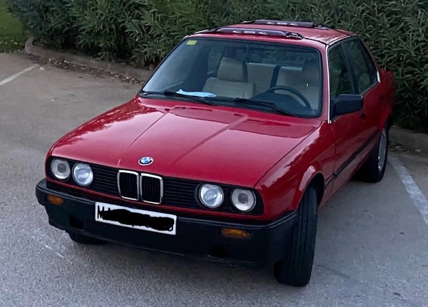 BMW 316 Rojo - 1