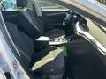 Skoda Octavia Combi Scout 2,0 TDI DSG 4x4 Weiß - thumbnail 11
