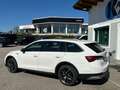 Skoda Octavia Combi Scout 2,0 TDI DSG 4x4 Weiß - thumbnail 6