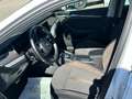 Skoda Octavia Combi Scout 2,0 TDI DSG 4x4 Weiß - thumbnail 13