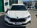 Skoda Octavia Combi Scout 2,0 TDI DSG 4x4 Weiß - thumbnail 3