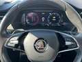 Skoda Octavia Combi Scout 2,0 TDI DSG 4x4 Weiß - thumbnail 14