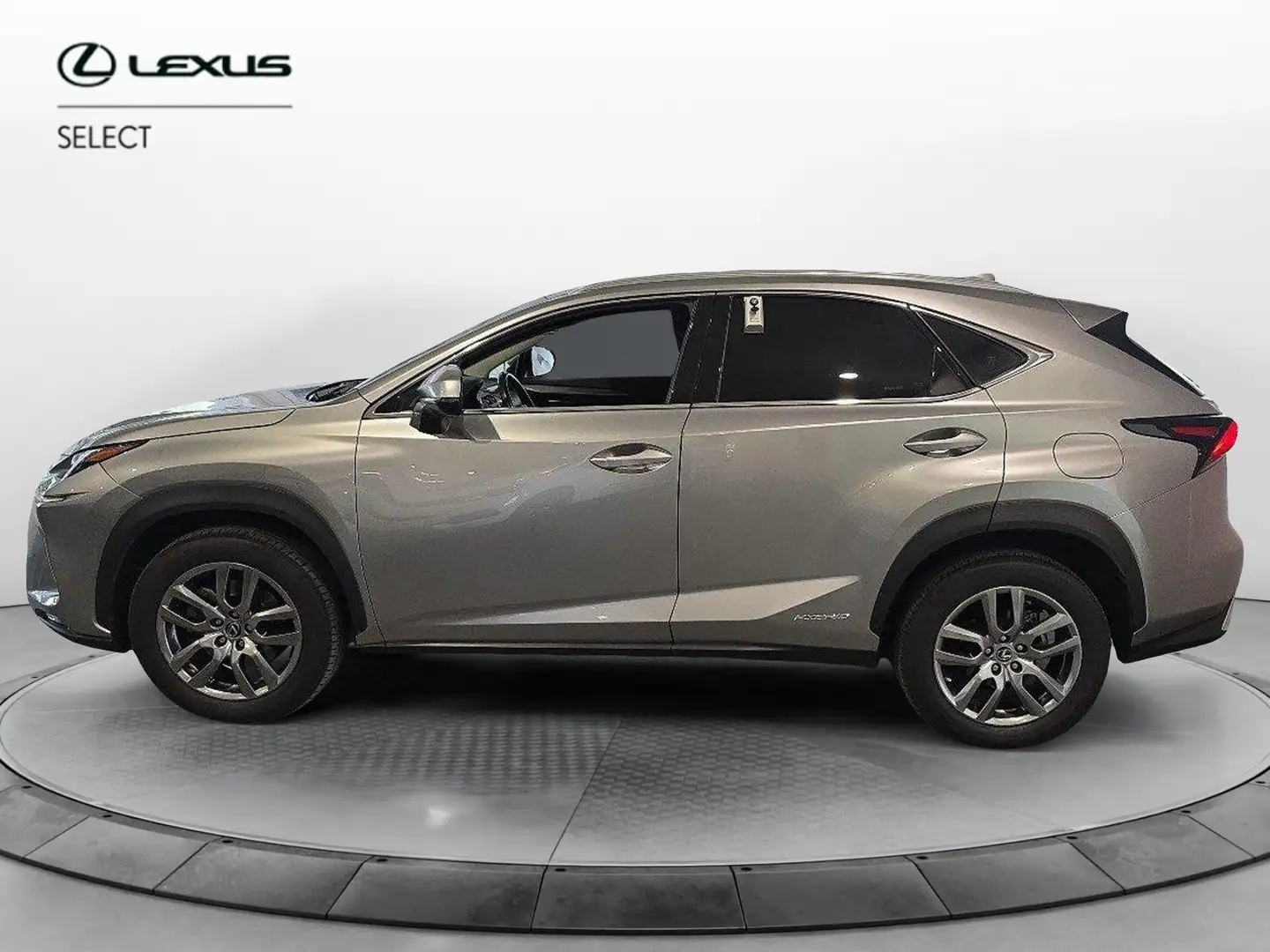 Lexus NX 300 Hybrid 4WD Executive Gris - 2
