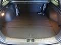 Kia Ceed SW / cee'd SW ceed SW 1,0 T-GDI GPF ISG Silber *NAVI, TEMPOMA... Schwarz - thumbnail 14
