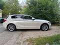 BMW 116 116d Sport Line Aut. Sport Line Weiß - thumbnail 3