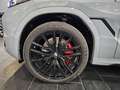 BMW X6 30d xDrive M-Sport PRO Tetto Navi 360° C22" MSport Šedá - thumbnail 6