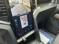 Volkswagen Amarok 3.0 TDi PanAmericana 2 Wochen Lieferzeit Gris - thumbnail 17