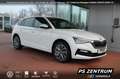 Skoda Scala 1.0 TSI Tour ACC LED CAM Bluetooth Navi Weiß - thumbnail 7