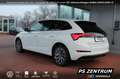 Skoda Scala 1.0 TSI Tour ACC LED CAM Bluetooth Navi Weiß - thumbnail 3