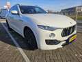 Maserati Levante 3.0 V6 S AWD GranLusso | Leder | ADAS 2 | Panorama Blanc - thumbnail 15
