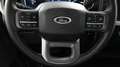 Ford F 150 Todoterreno Automático de 5 Puertas Grijs - thumbnail 17