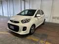 Kia Picanto 1.0 Glam Gpl 67cv 5p Bianco - thumbnail 2