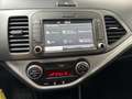 Kia Picanto 1.0 Glam Gpl 67cv 5p Bianco - thumbnail 14