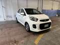 Kia Picanto 1.0 Glam Gpl 67cv 5p Bianco - thumbnail 1