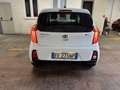Kia Picanto 1.0 Glam Gpl 67cv 5p Bianco - thumbnail 6