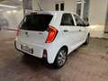 Kia Picanto 1.0 Glam Gpl 67cv 5p Bianco - thumbnail 5